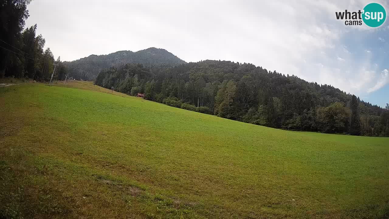 RTC Kranjska Gora | Brsnina
