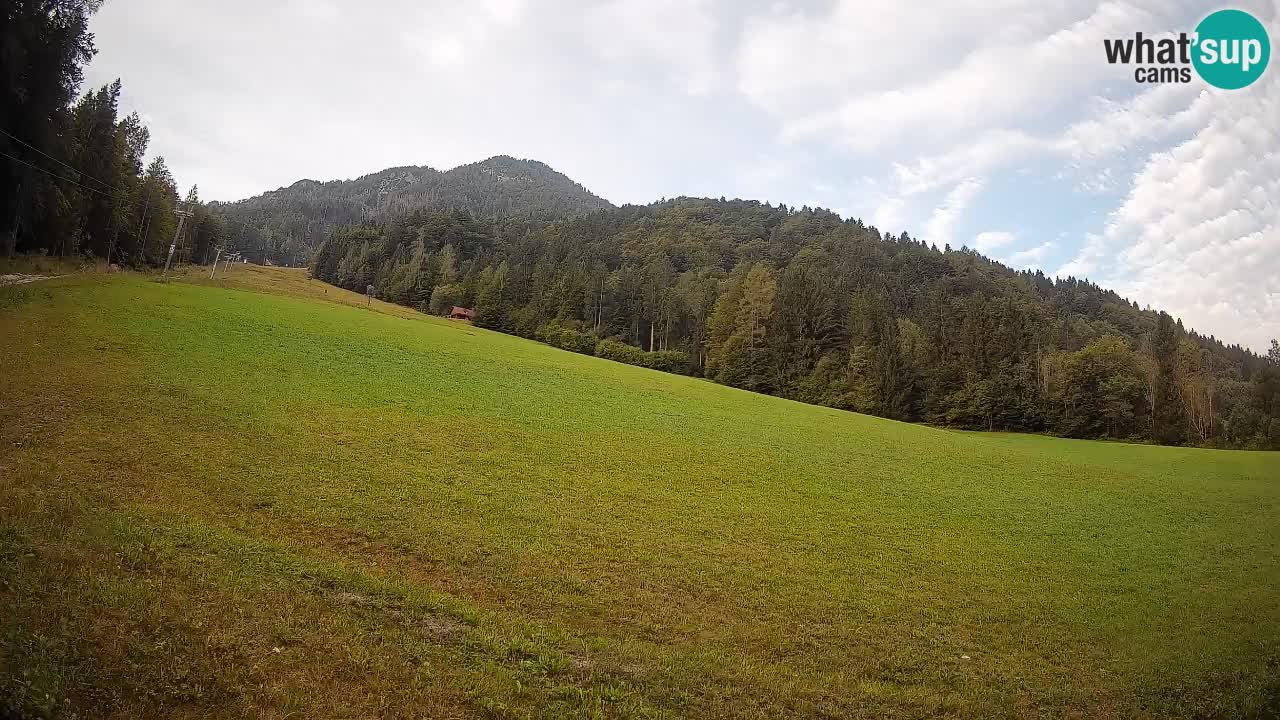 RTC Skigebiet Kranjska Gora | Brsnina