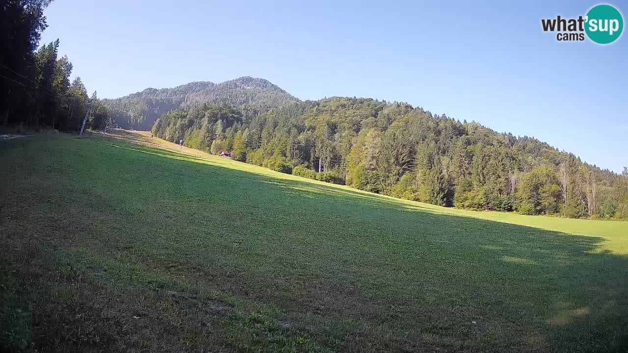 Ski Kranjska Gora | Brsnina