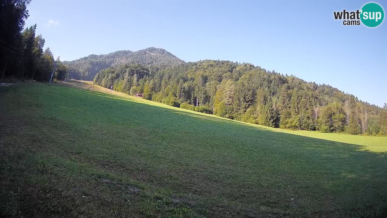 Kranjska Gora Station de ski | Brsnina