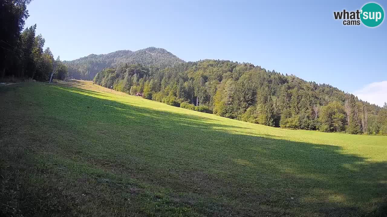 Kranjska Gora Station de ski | Brsnina