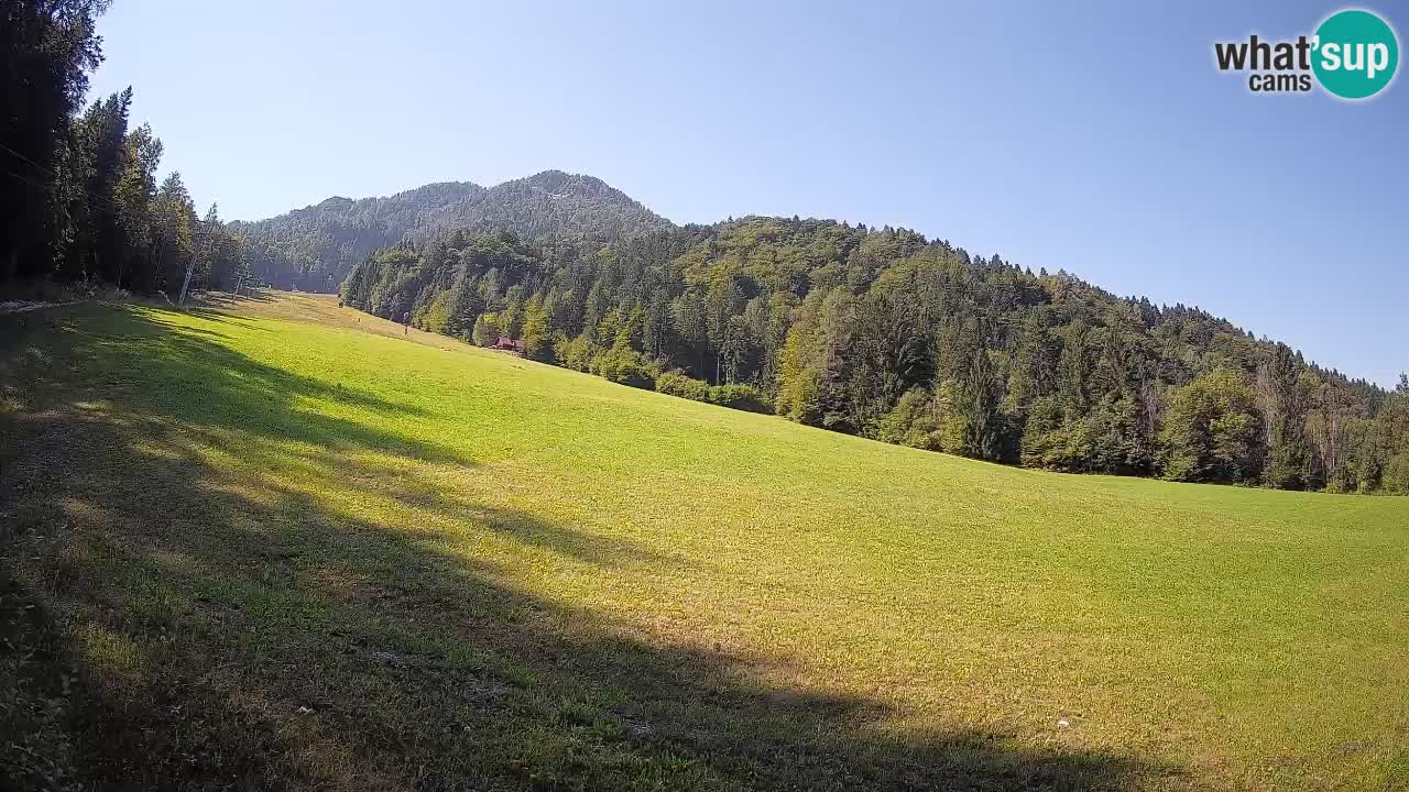 Ski Kranjska Gora | Brsnina