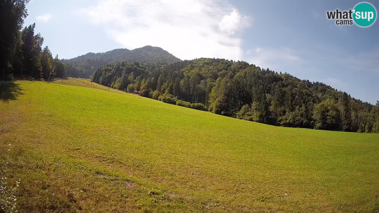 Ski Kranjska Gora | Brsnina
