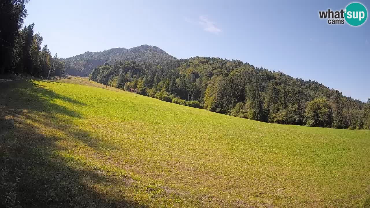 Kranjska Gora Station de ski | Brsnina