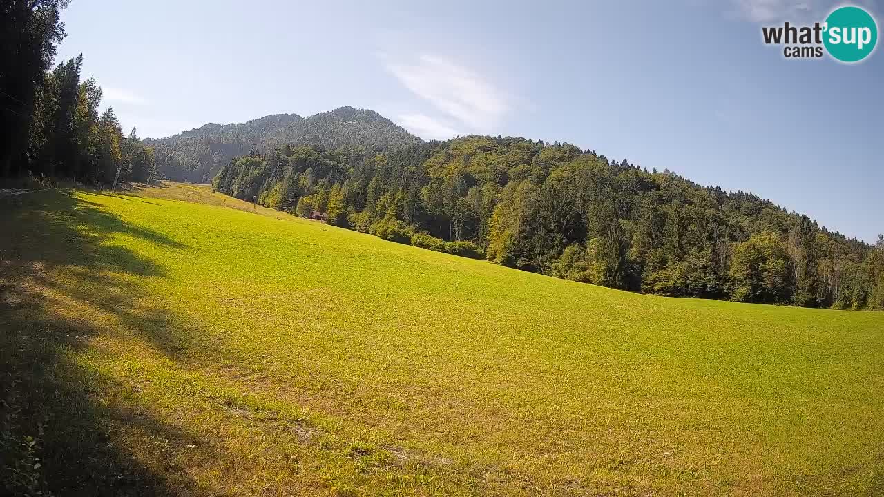 Comprensorio sciistico Kranjska Gora | Brsnina