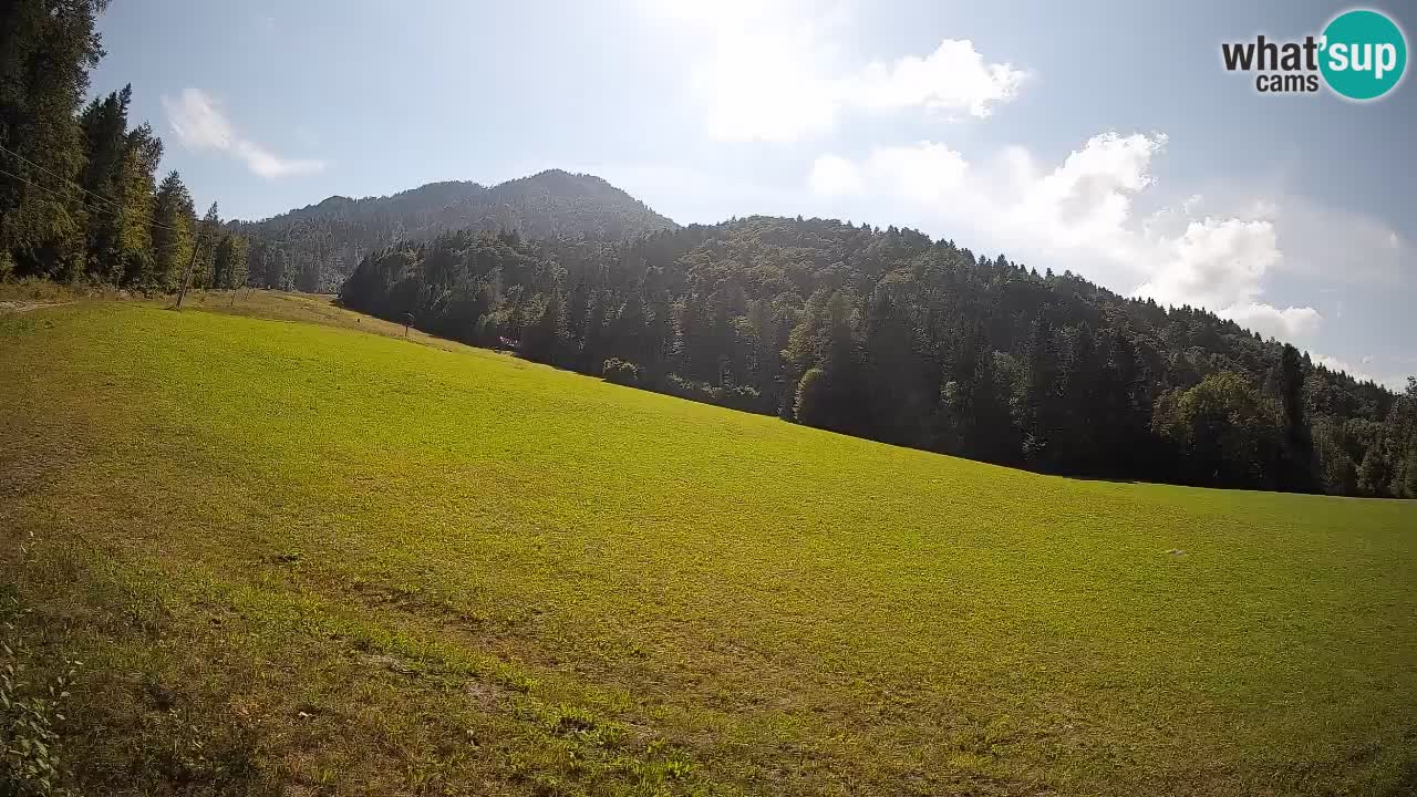 Esquí Kranjska Gora | Brsnina