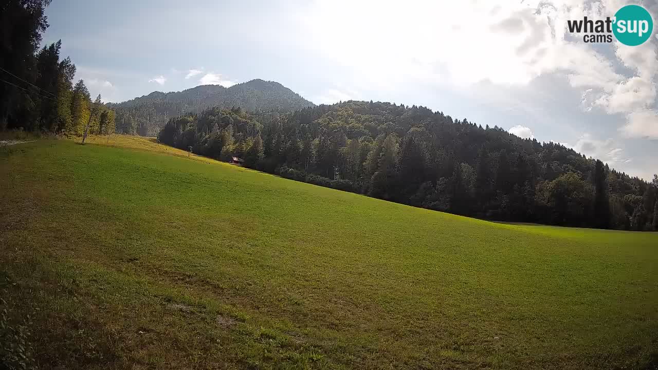 Ski Kranjska Gora | Brsnina