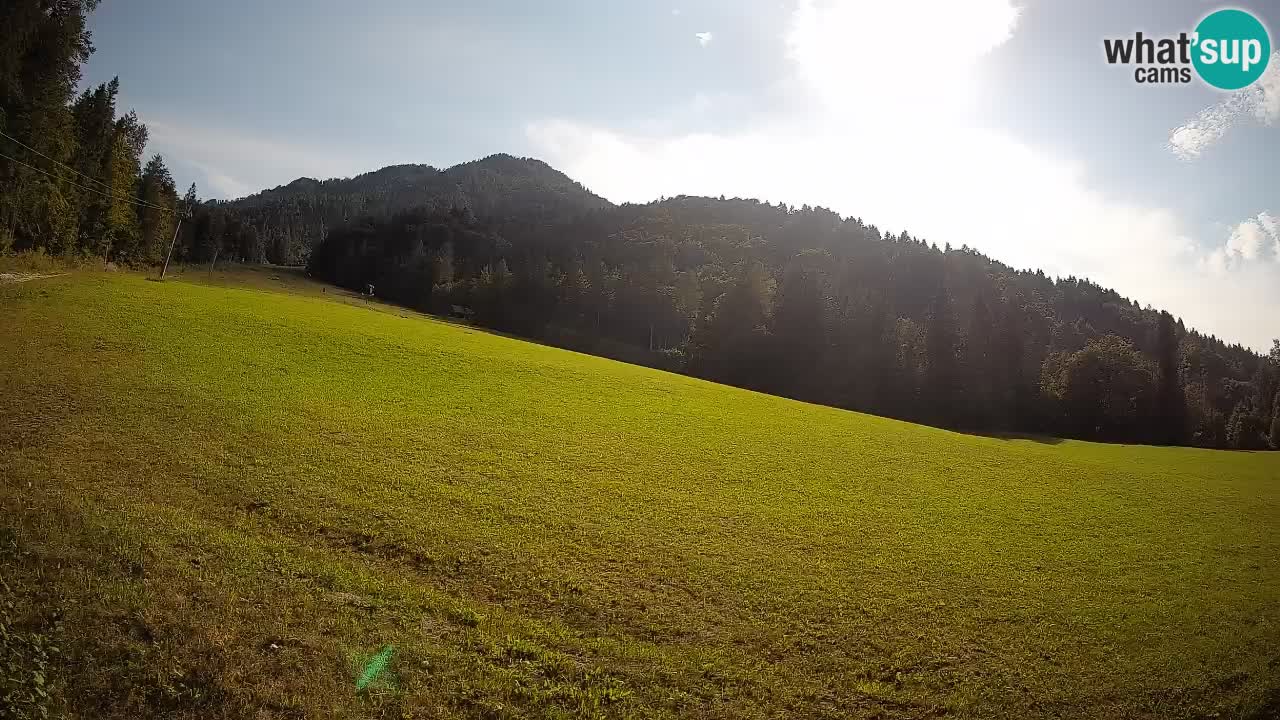 Esquí Kranjska Gora | Brsnina