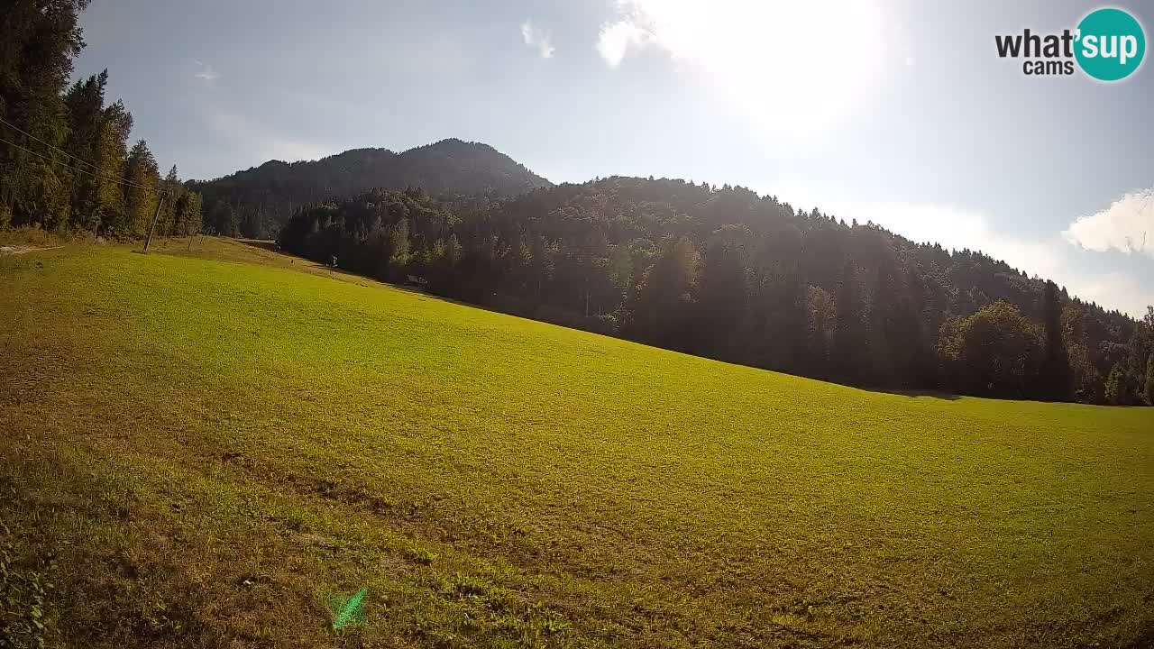 Ski Kranjska Gora | Brsnina