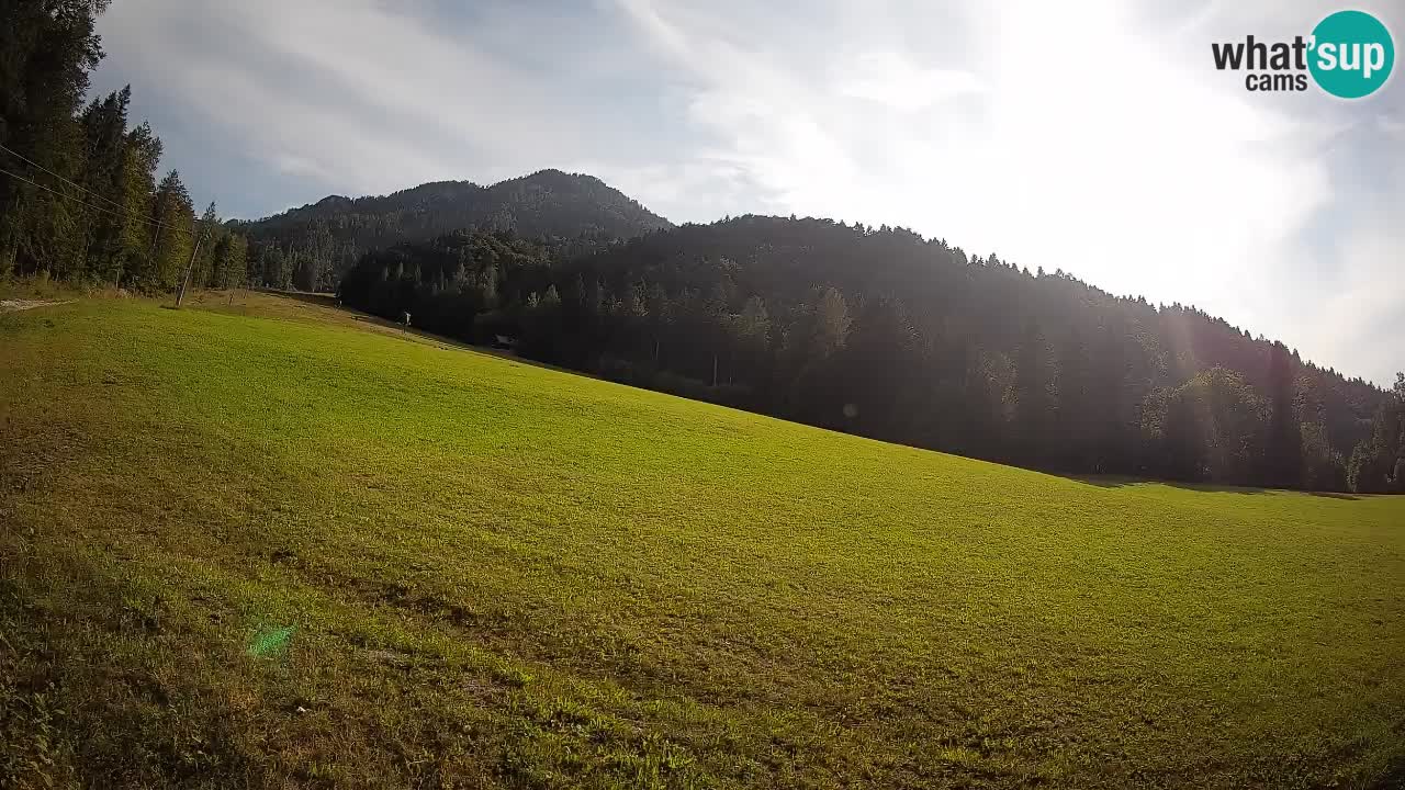 Comprensorio sciistico Kranjska Gora | Brsnina