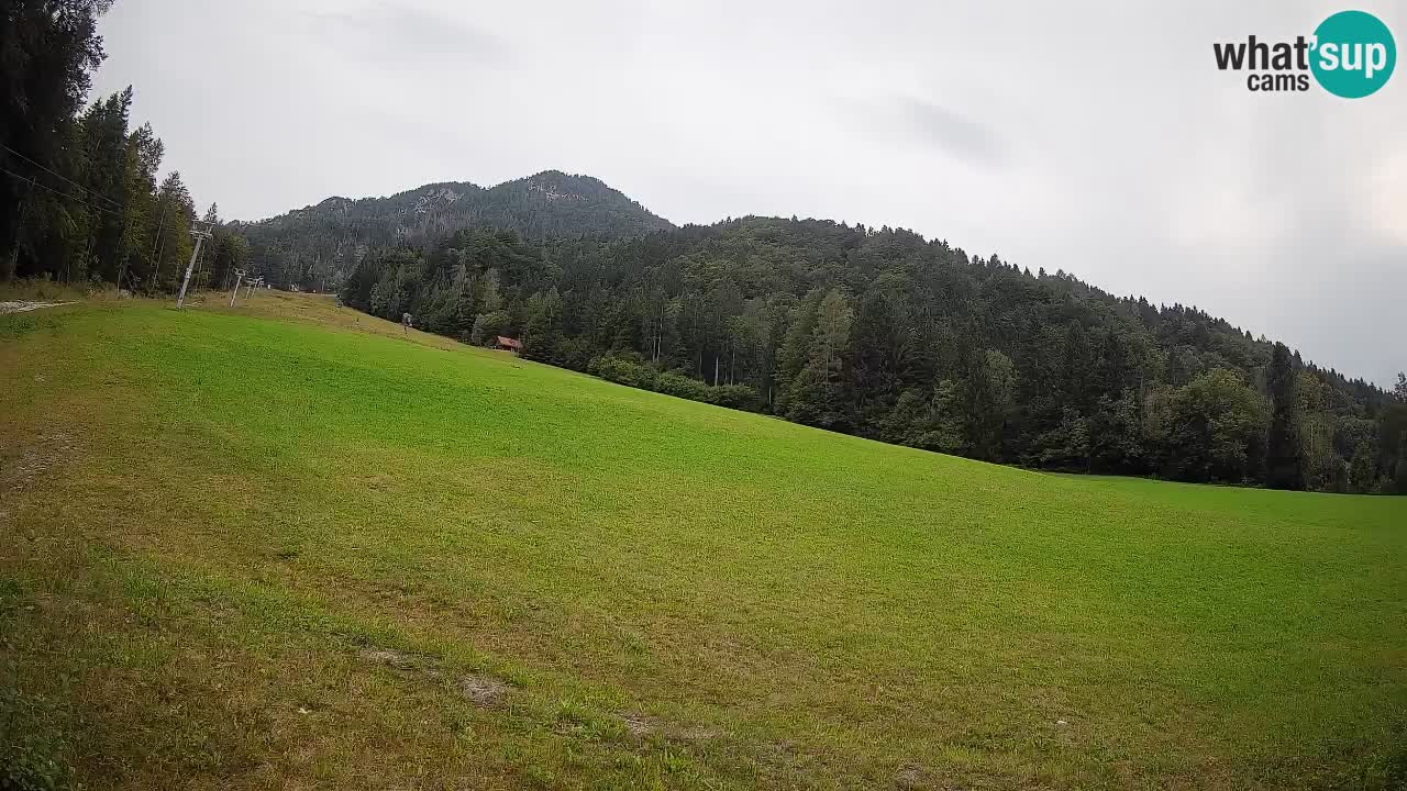 Kranjska Gora Station de ski | Brsnina