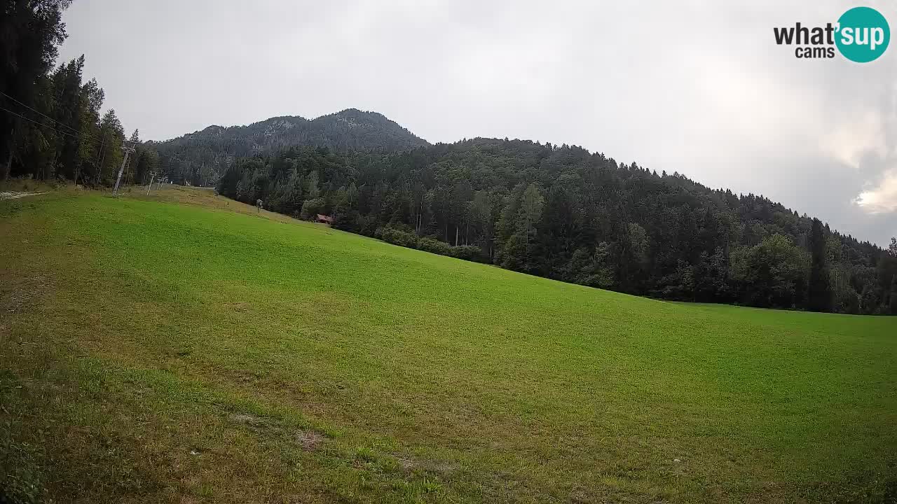 RTC Skigebiet Kranjska Gora | Brsnina