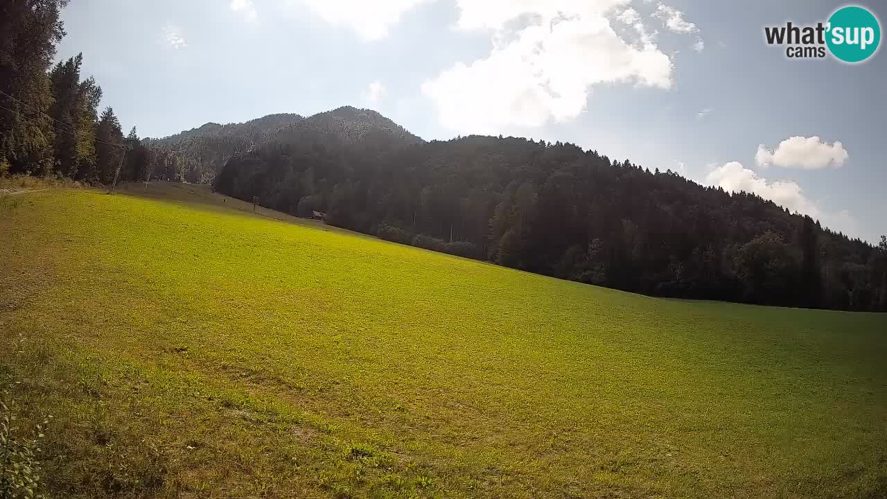Kranjska Gora Station de ski | Brsnina