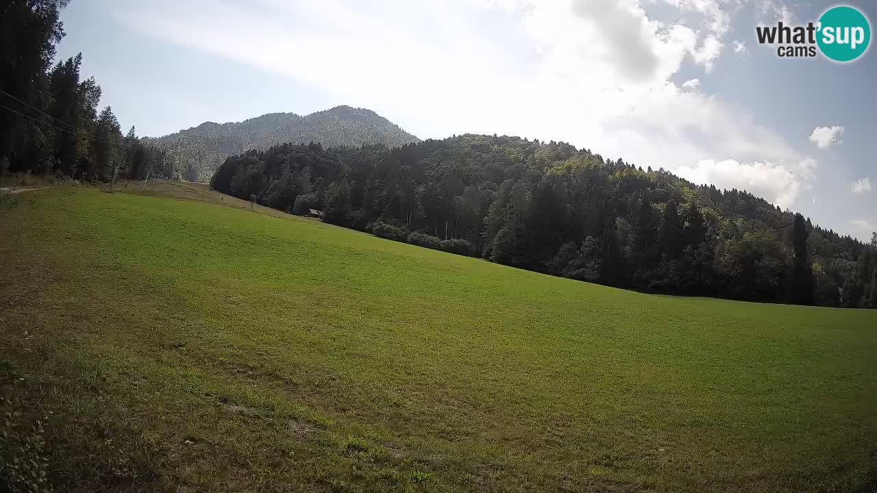 Kranjska Gora Station de ski | Brsnina