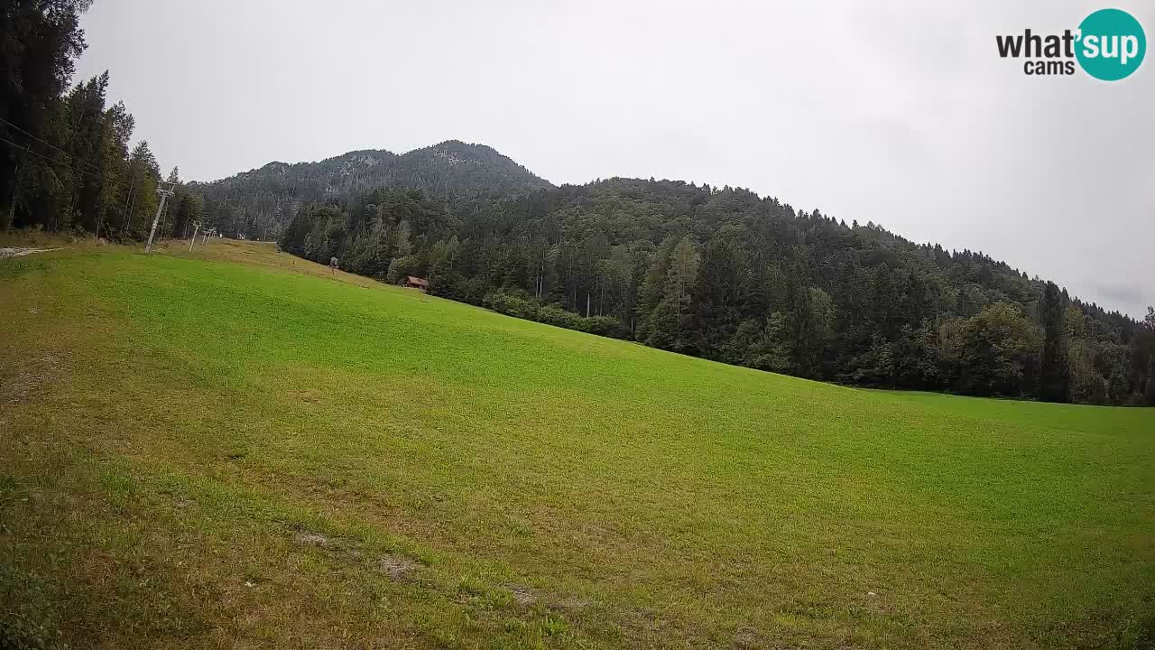 Kranjska Gora SKIJANJE | Brsnina