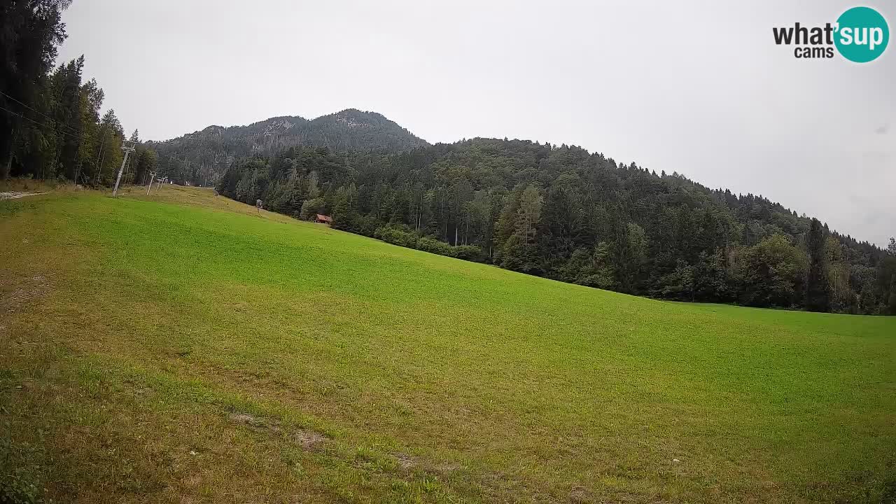 Kranjska Gora Station de ski | Brsnina
