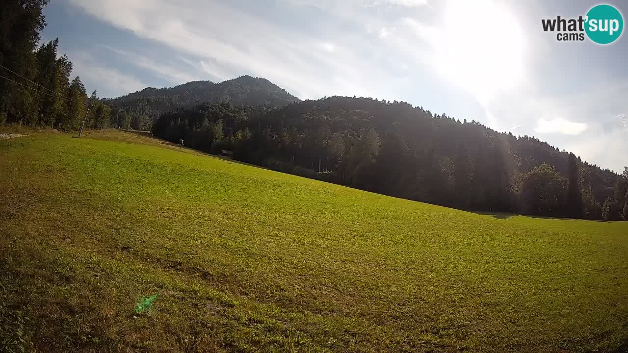 RTC Kranjska Gora | Brsnina