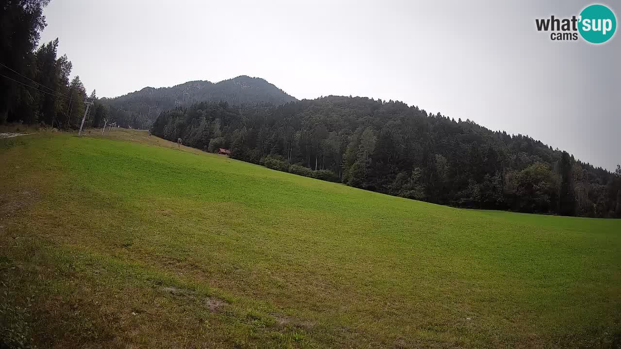 Kranjska Gora Station de ski | Brsnina