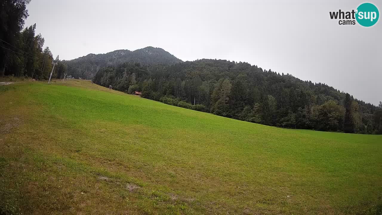 Comprensorio sciistico Kranjska Gora | Brsnina