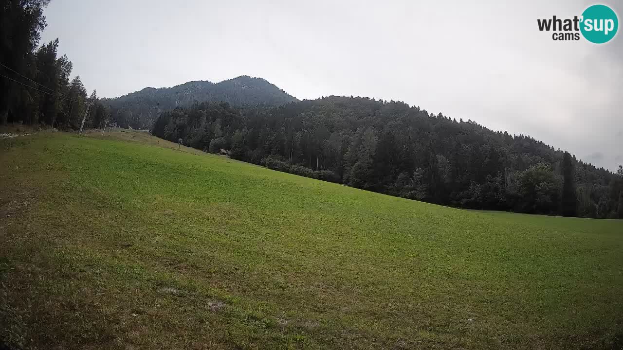 RTC Skigebiet Kranjska Gora | Brsnina