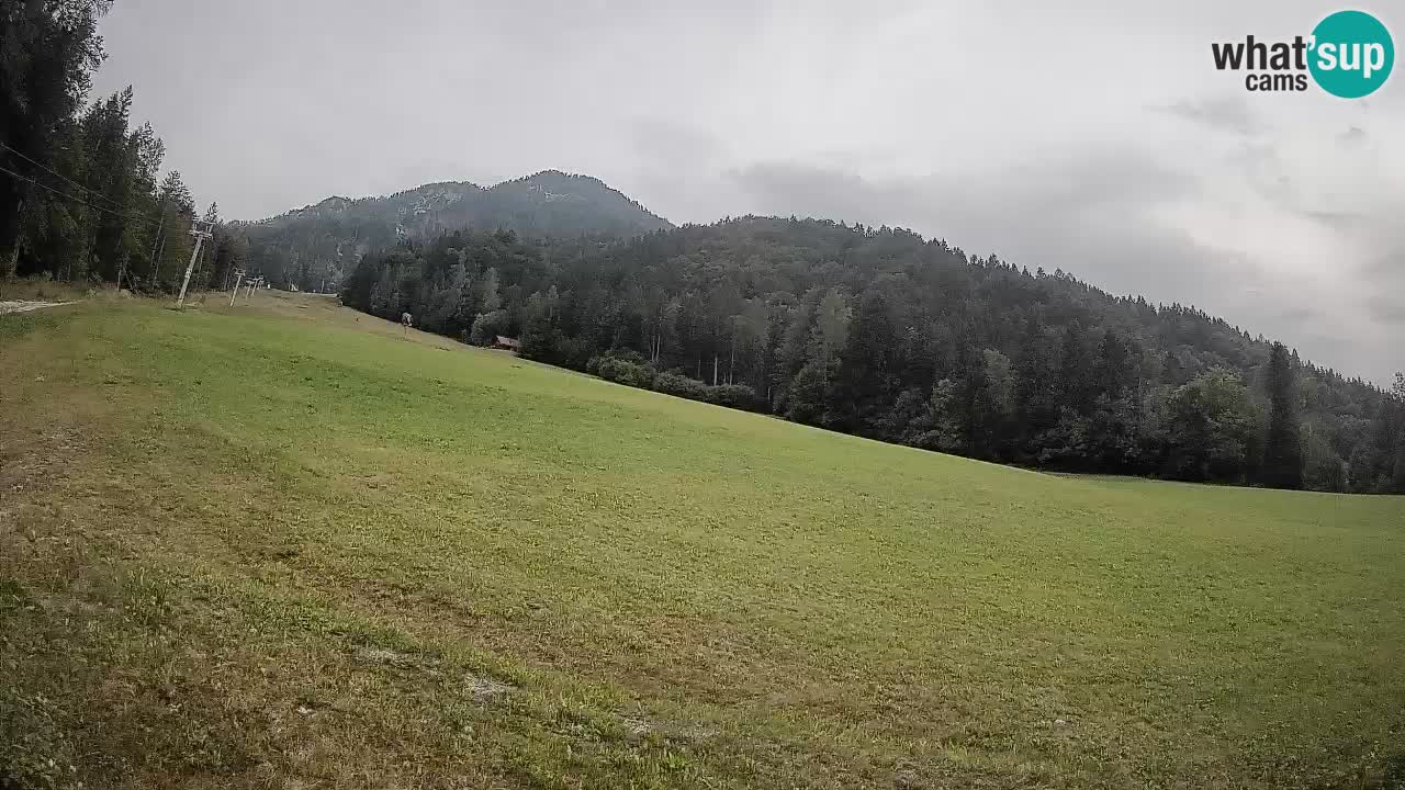 Ski Kranjska Gora | Brsnina