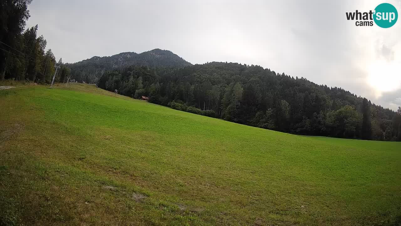 Ski Kranjska Gora | Brsnina