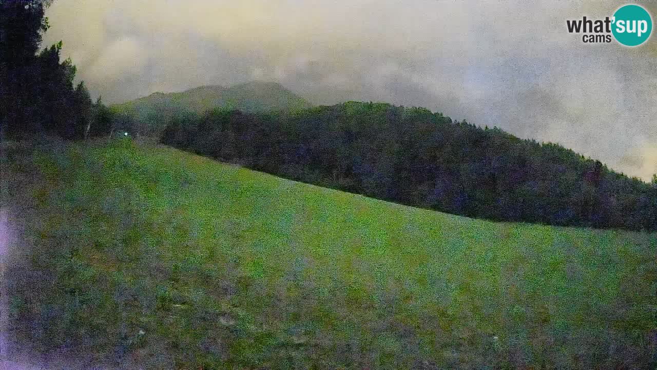 Ski Kranjska Gora | Brsnina