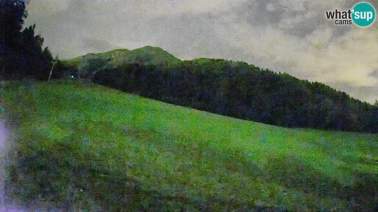 RTC Kranjska Gora | Brsnina