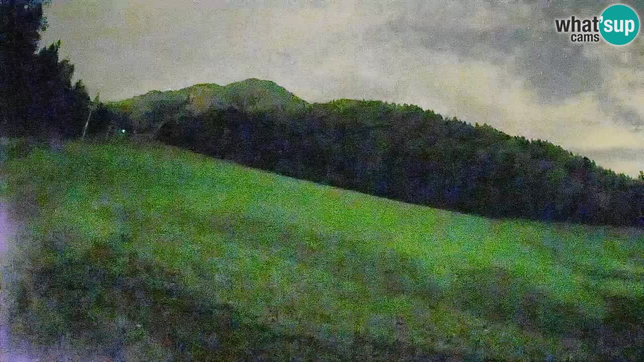 Esquí Kranjska Gora | Brsnina