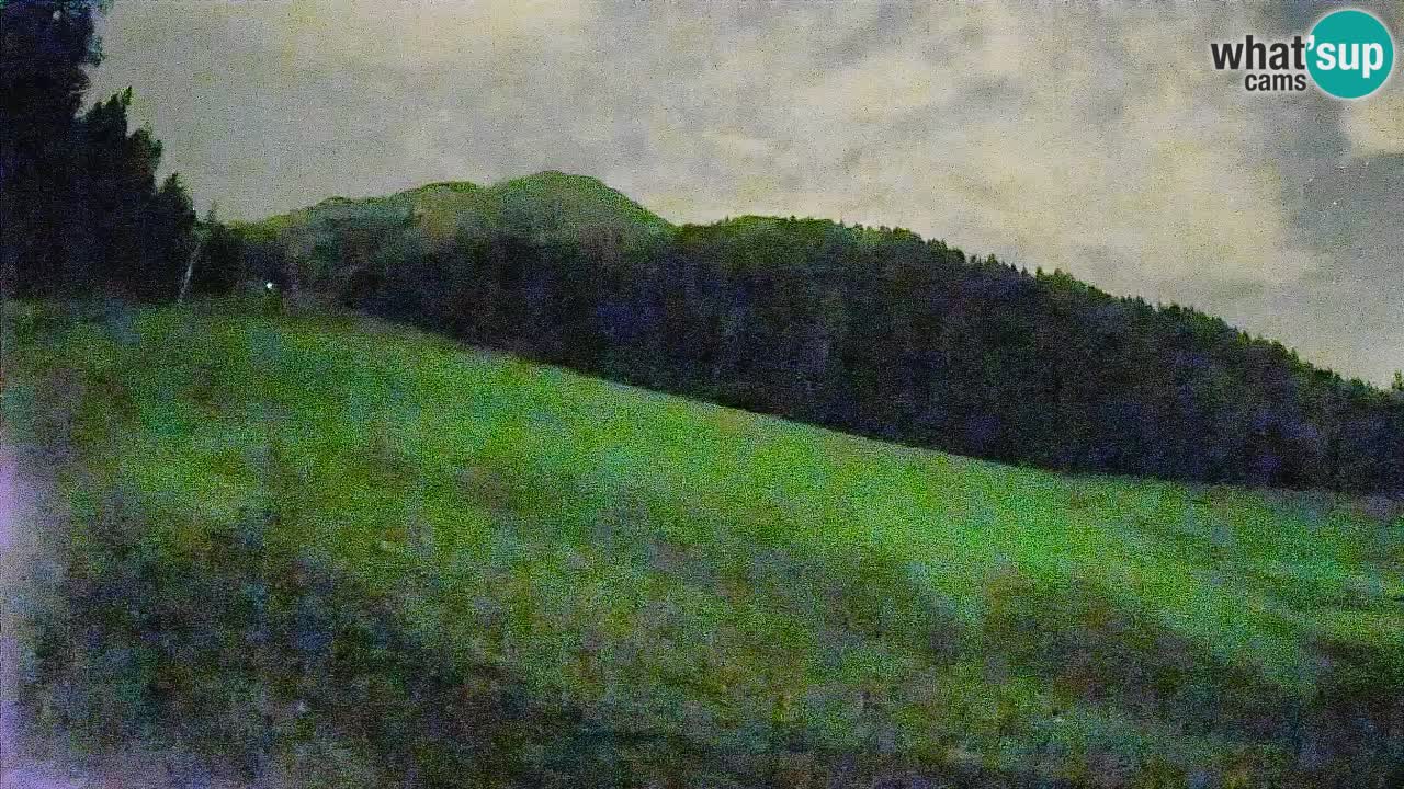 RTC Kranjska Gora | Brsnina