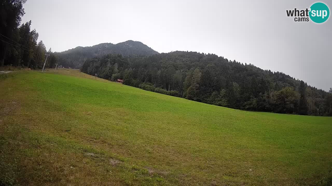 Comprensorio sciistico Kranjska Gora | Brsnina