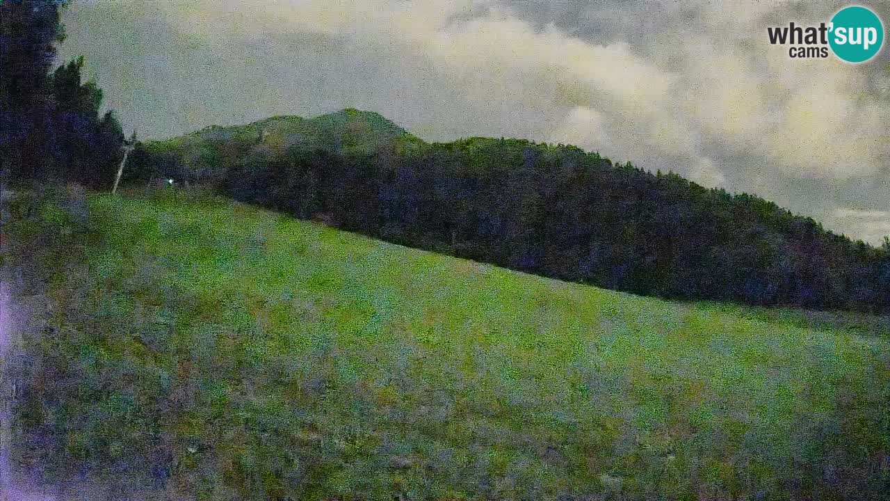 Ski Kranjska Gora | Brsnina