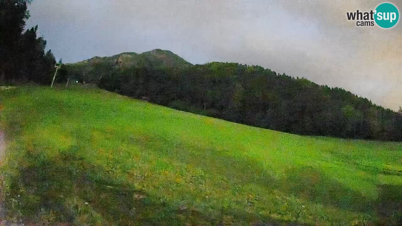 Kranjska Gora SKIJANJE | Brsnina