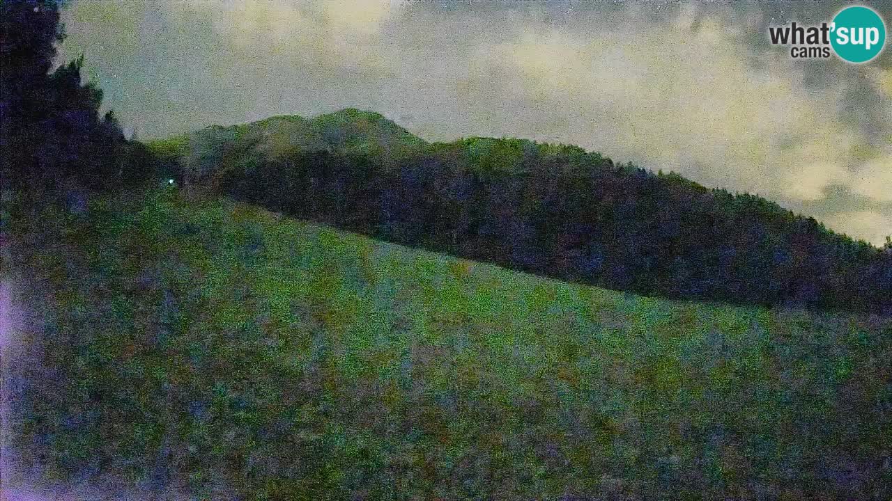 Esquí Kranjska Gora | Brsnina