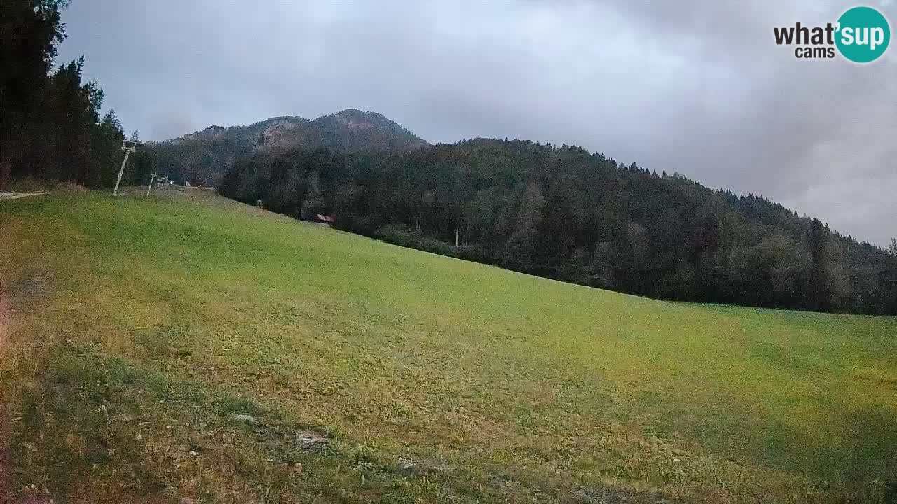 Kranjska Gora Station de ski | Brsnina
