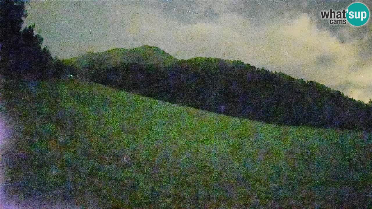 Esquí Kranjska Gora | Brsnina