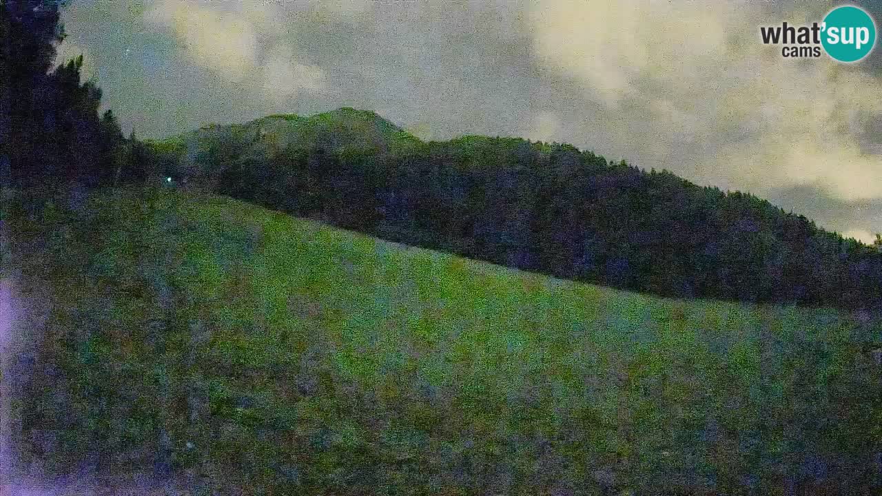 Esquí Kranjska Gora | Brsnina