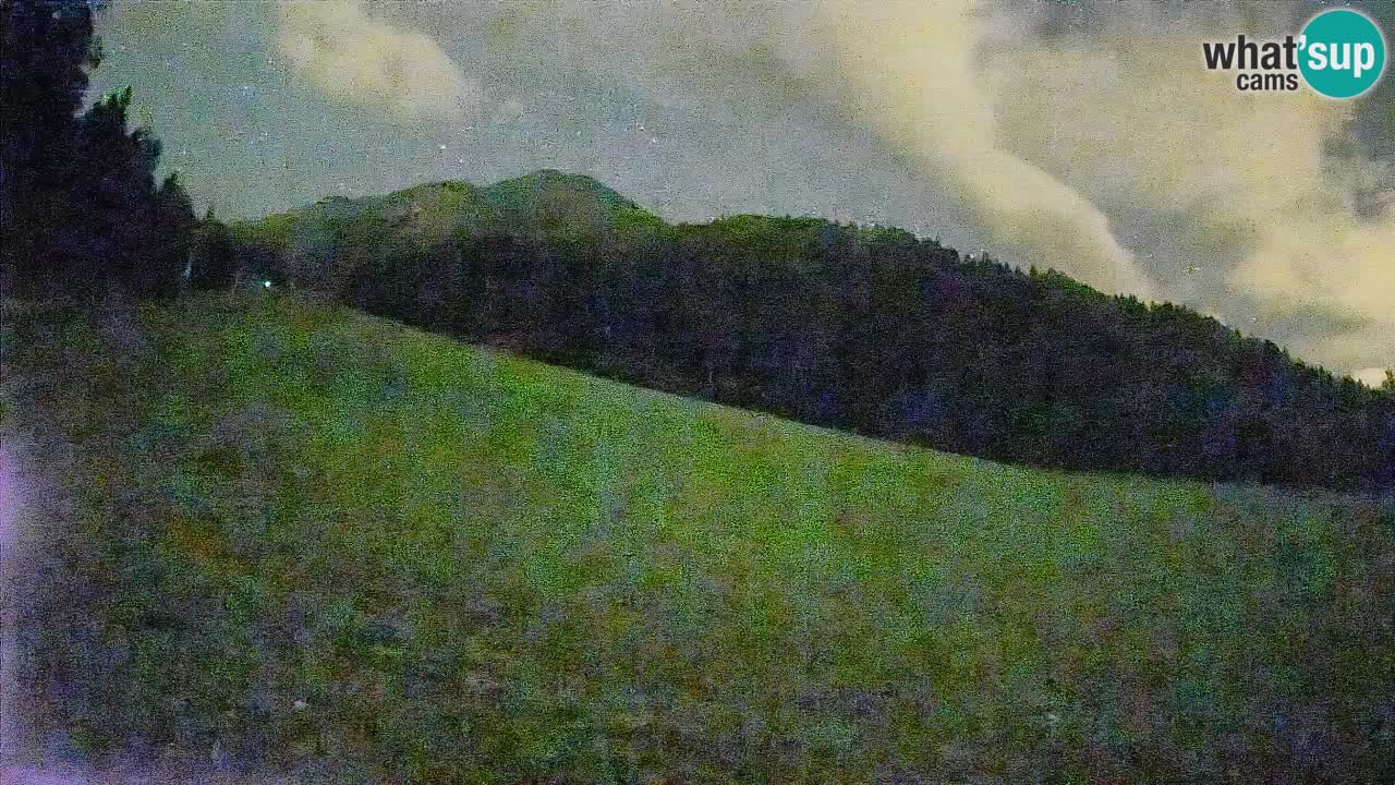 Esquí Kranjska Gora | Brsnina