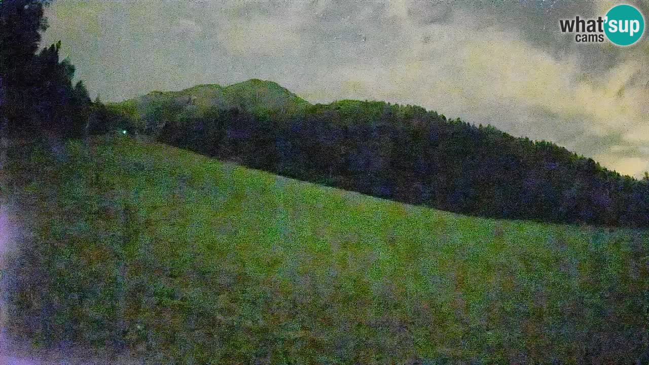 RTC Kranjska Gora | Brsnina