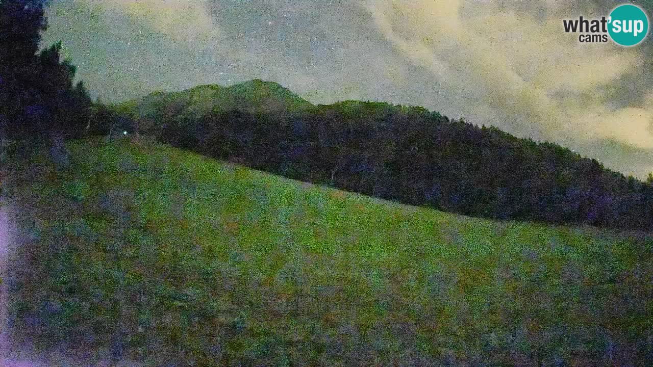 Esquí Kranjska Gora | Brsnina