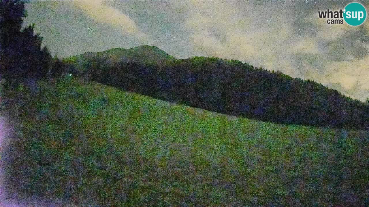Esquí Kranjska Gora | Brsnina