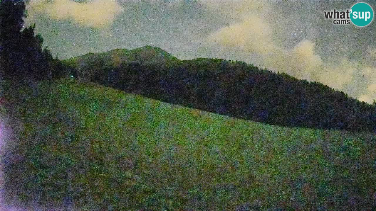 Esquí Kranjska Gora | Brsnina