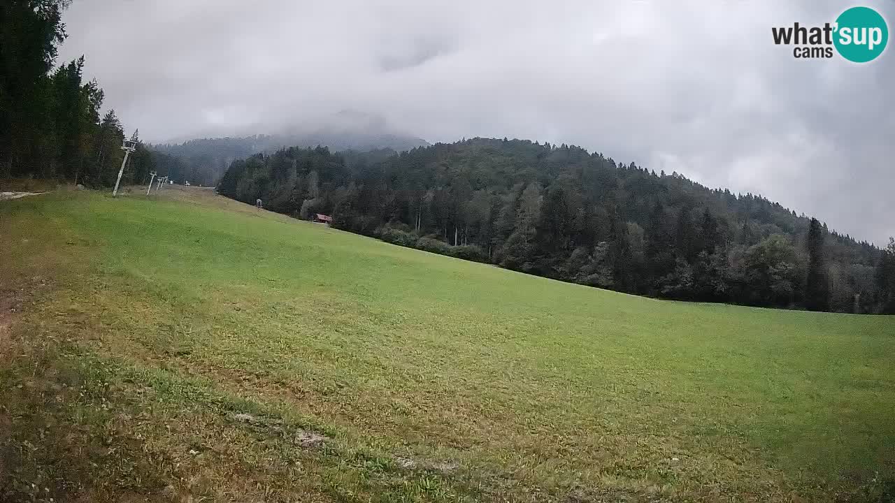 Esquí Kranjska Gora | Brsnina