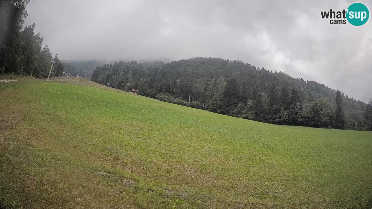 RTC Kranjska Gora | Brsnina