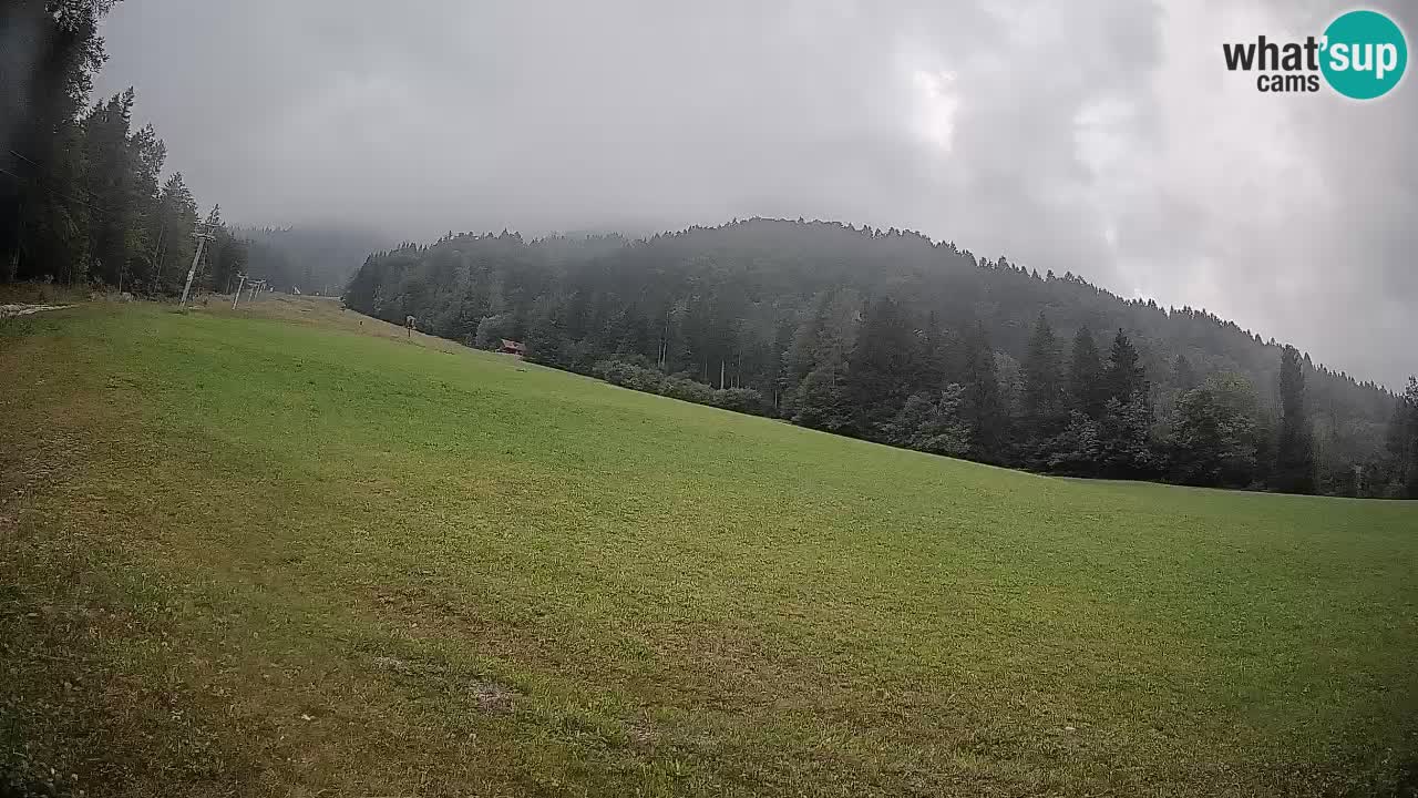 Ski Kranjska Gora | Brsnina