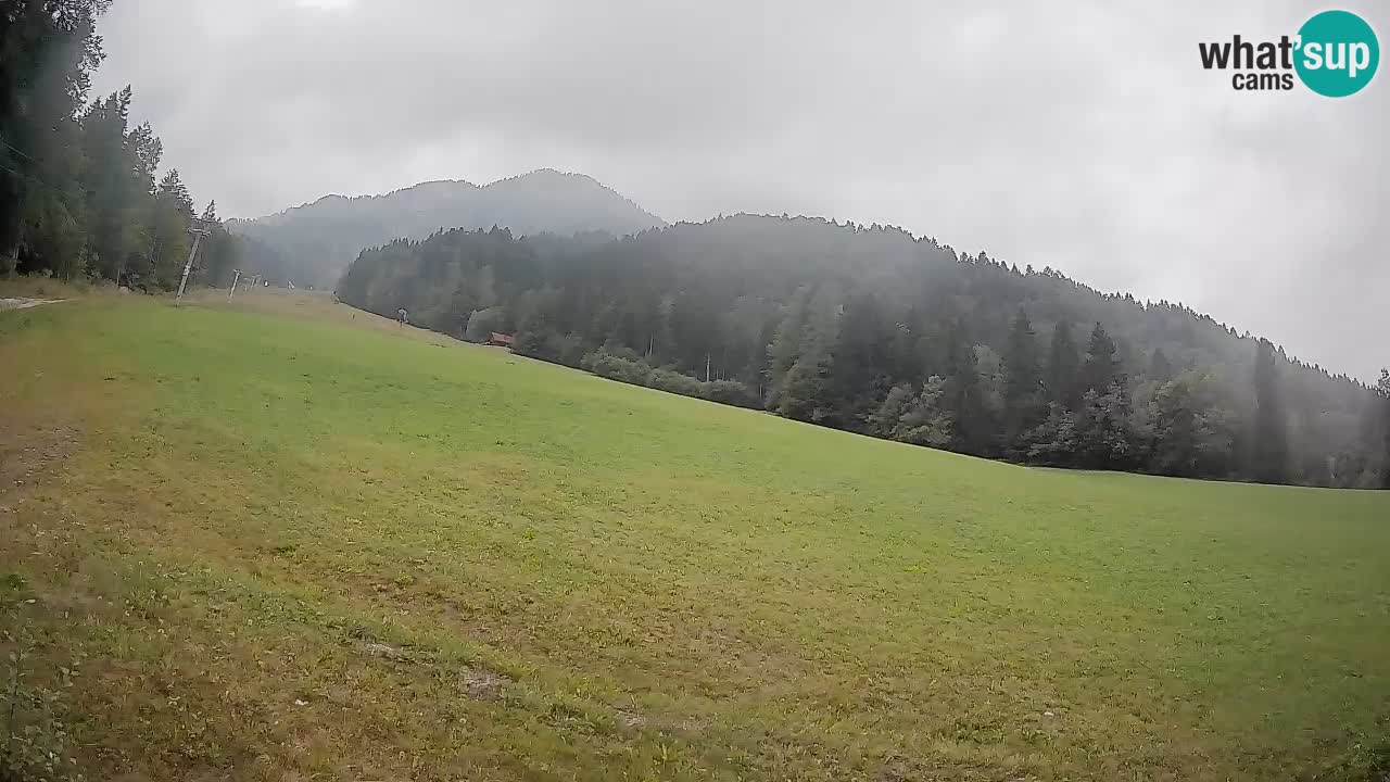 Ski Kranjska Gora | Brsnina