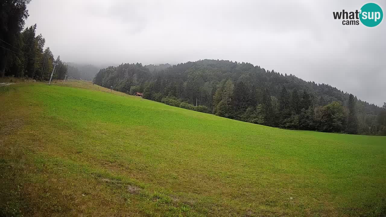Ski Kranjska Gora | Brsnina