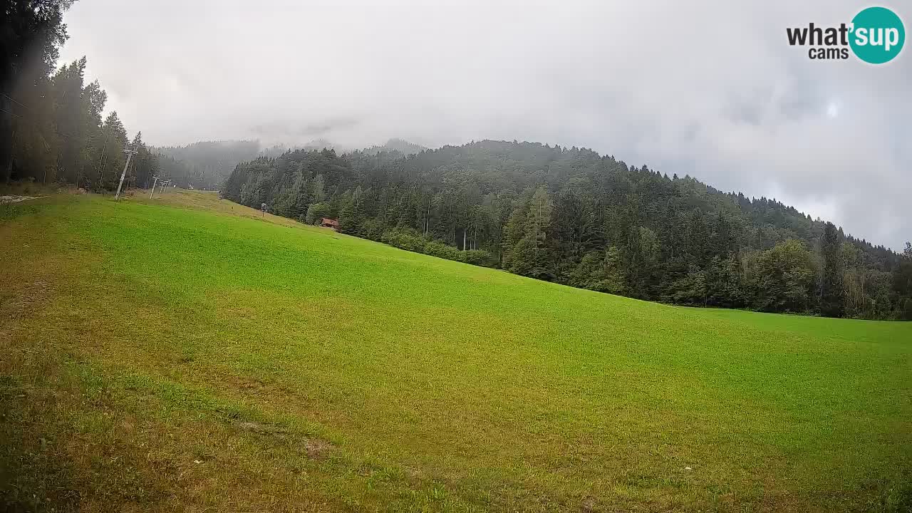 RTC Skigebiet Kranjska Gora | Brsnina