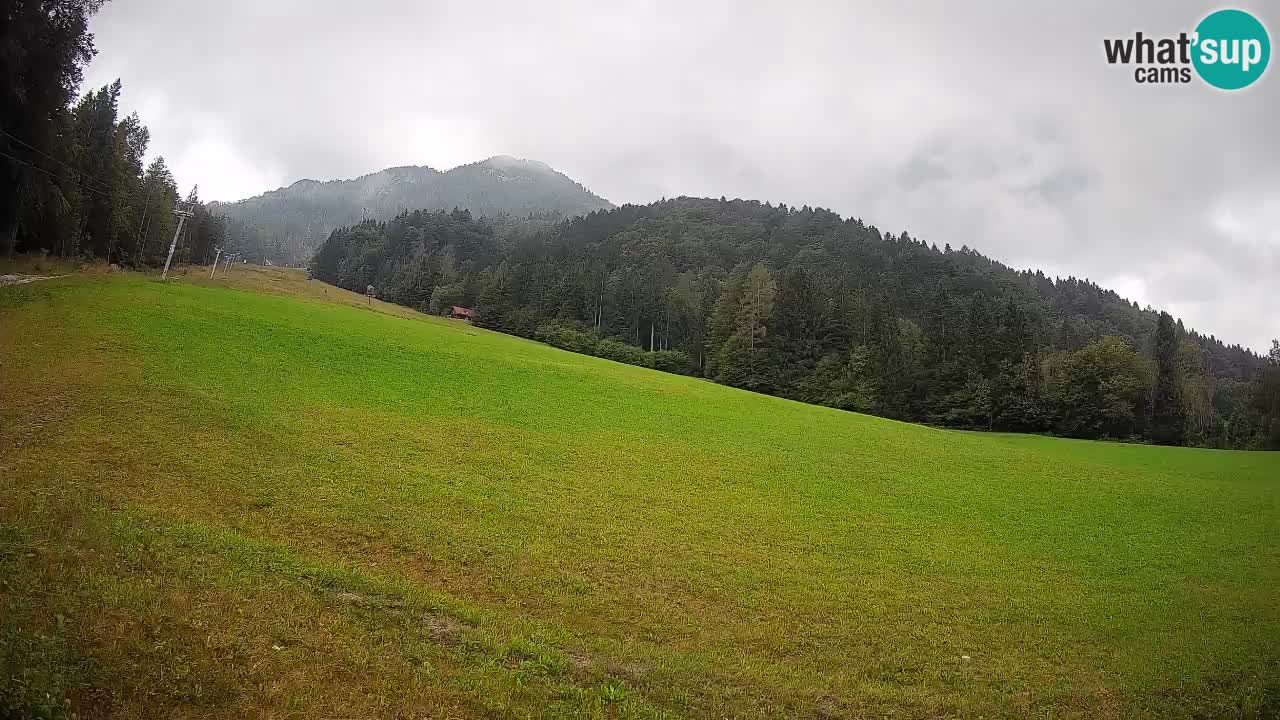 RTC Kranjska Gora | Brsnina
