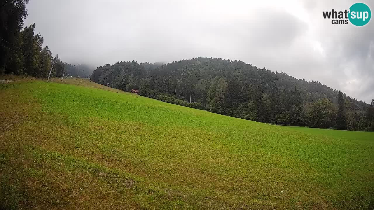 Comprensorio sciistico Kranjska Gora | Brsnina